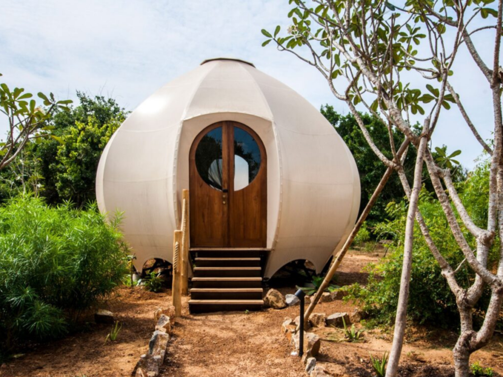 A glamping structure in the shape of an egg nestled amidst the tranquil forest.