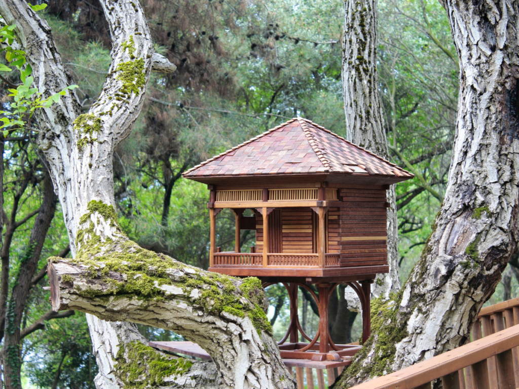 A cozy glamping structure nestled amidst a wooded area - the perfect tree house getaway.
