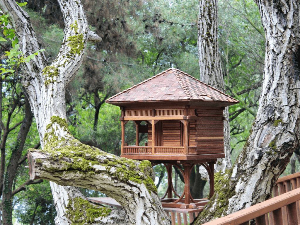 A cozy glamping structure nestled amidst a wooded area - the perfect tree house getaway.